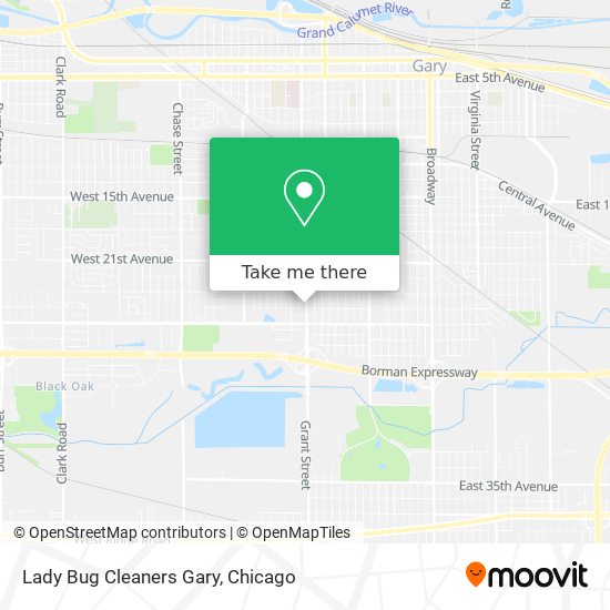 Lady Bug Cleaners Gary map