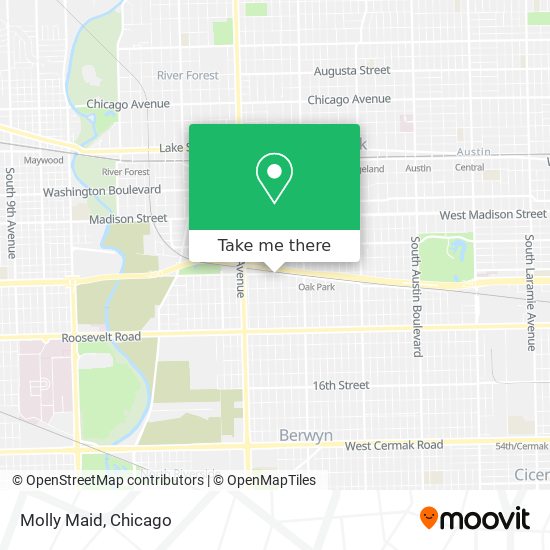 Molly Maid map