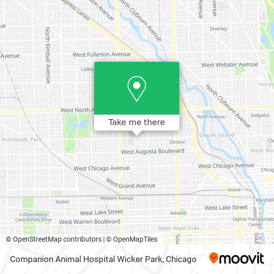 Companion Animal Hospital Wicker Park map