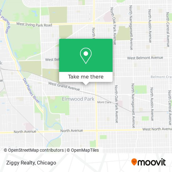 Ziggy Realty map