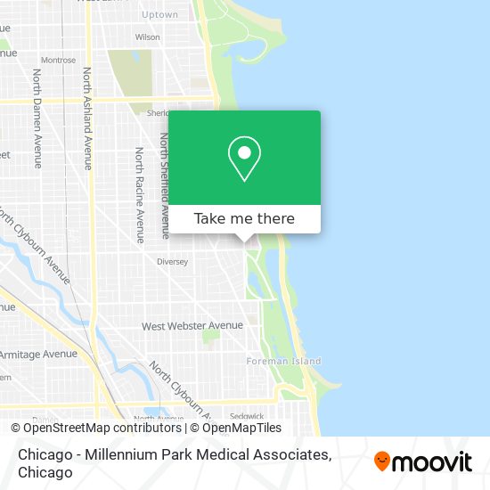Chicago - Millennium Park Medical Associates map