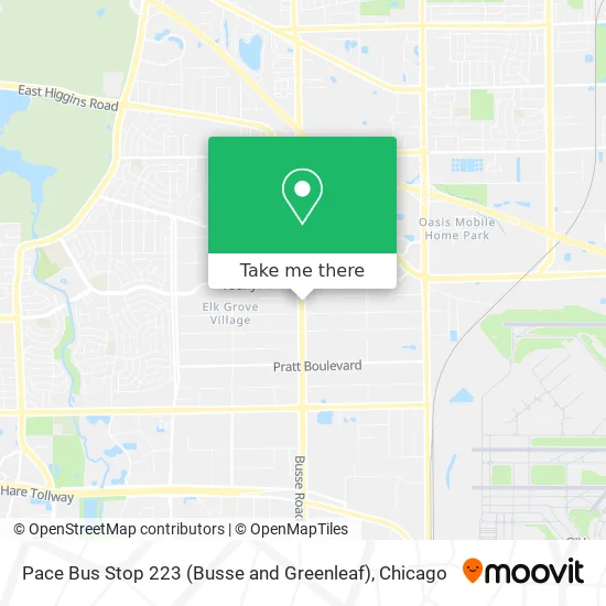 Pace Bus Stop 223 (Busse and Greenleaf) map