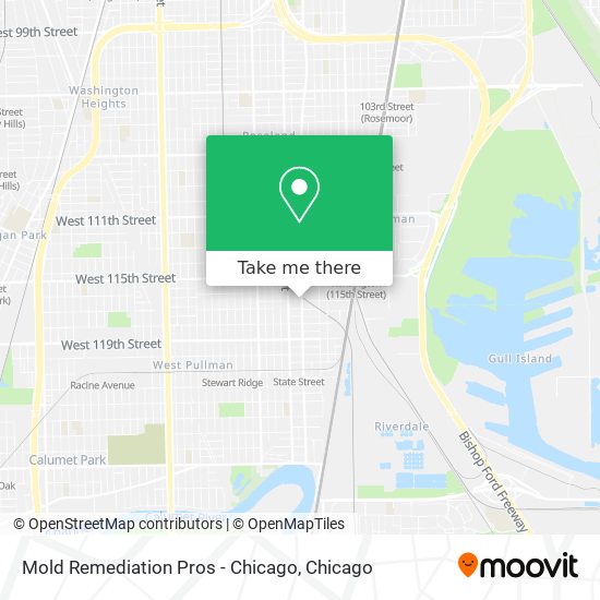 Mold Remediation Pros - Chicago map