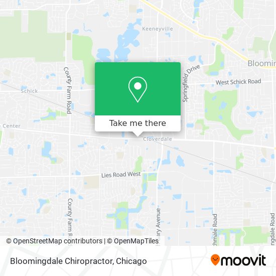 Bloomingdale Chiropractor map