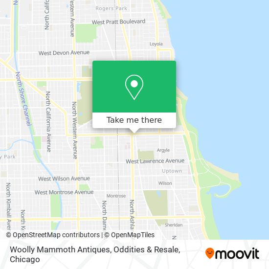 Woolly Mammoth Antiques, Oddities & Resale map