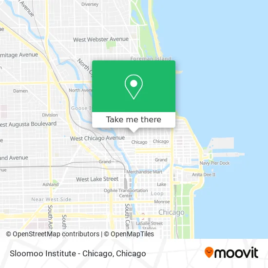 Mapa de Sloomoo Institute - Chicago