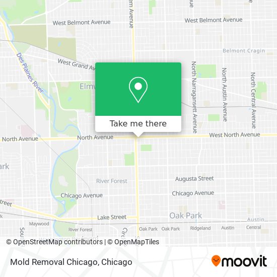 Mold Removal Chicago map