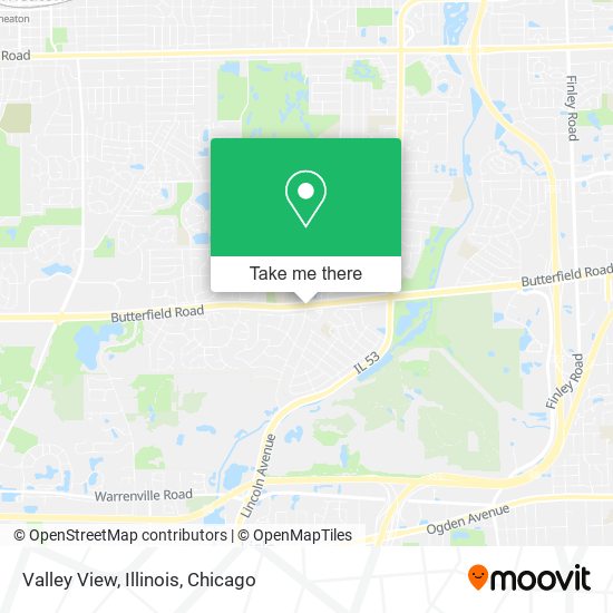 Valley View, Illinois map