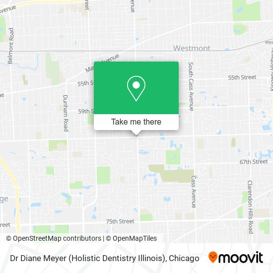 Mapa de Dr Diane Meyer (Holistic Dentistry Illinois)