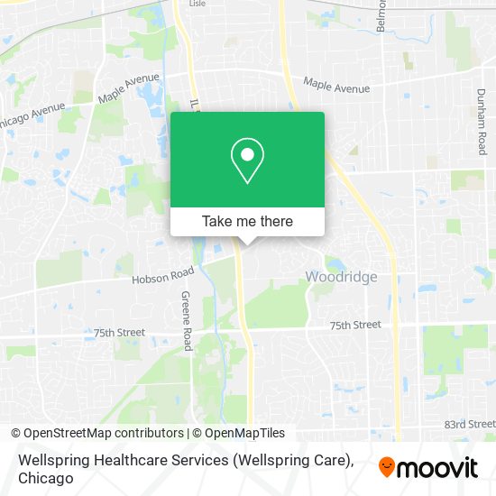 Mapa de Wellspring Healthcare Services (Wellspring Care)