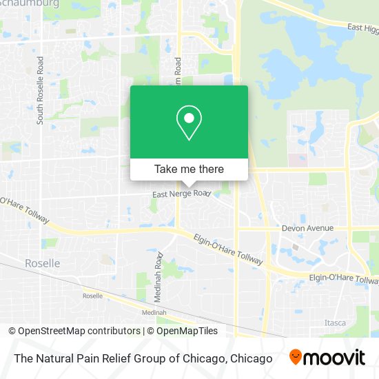 The Natural Pain Relief Group of Chicago map