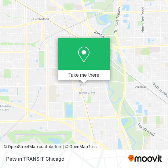 Pets in TRANSIT map