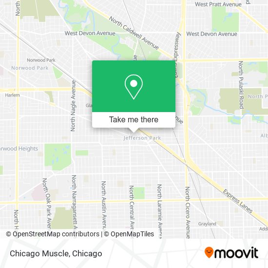 Chicago Muscle map