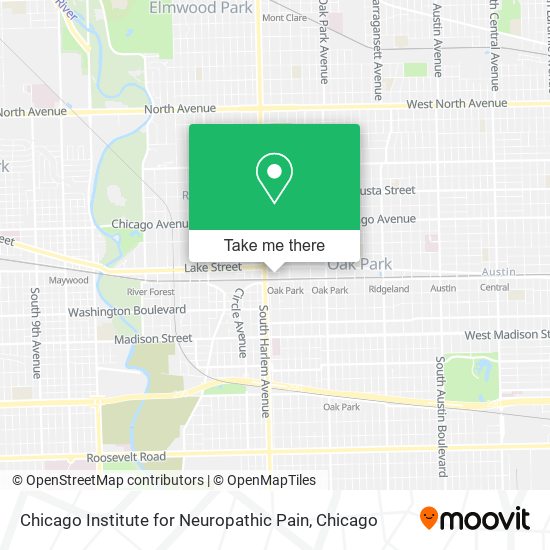 Chicago Institute for Neuropathic Pain map