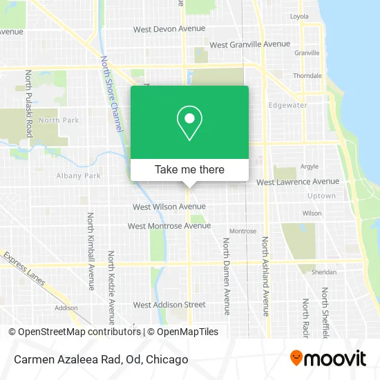 Carmen Azaleea Rad, Od map