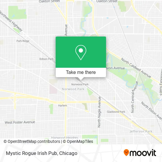 Mystic Rogue Irish Pub map