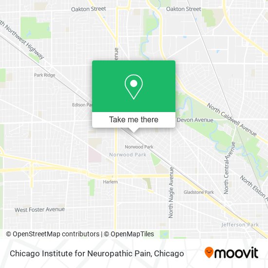 Chicago Institute for Neuropathic Pain map
