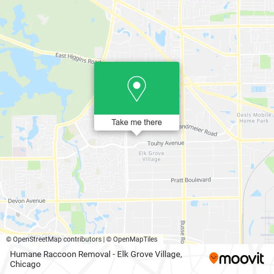 Humane Raccoon Removal - Elk Grove Village map