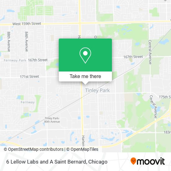 Mapa de 6 Lellow Labs and A Saint Bernard