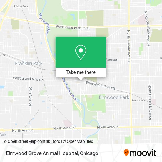 Elmwood Grove Animal Hospital map