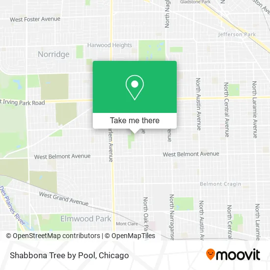 Shabbona Tree by Pool map