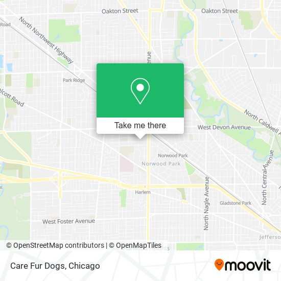 Care Fur Dogs map