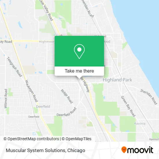 Muscular System Solutions map