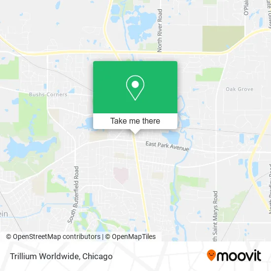 Trillium Worldwide map