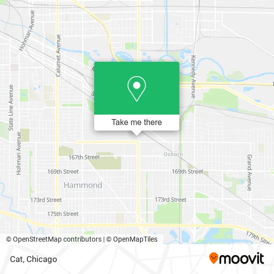 Cat map