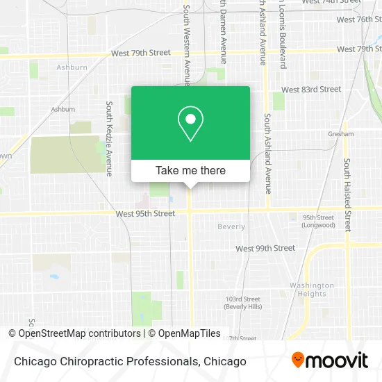 Chicago Chiropractic Professionals map