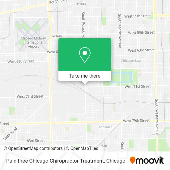 Pain Free Chicago Chiropractor Treatment map