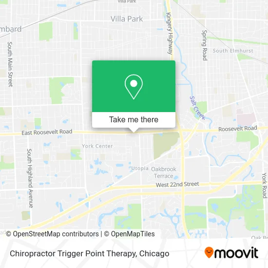 Chiropractor Trigger Point Therapy map
