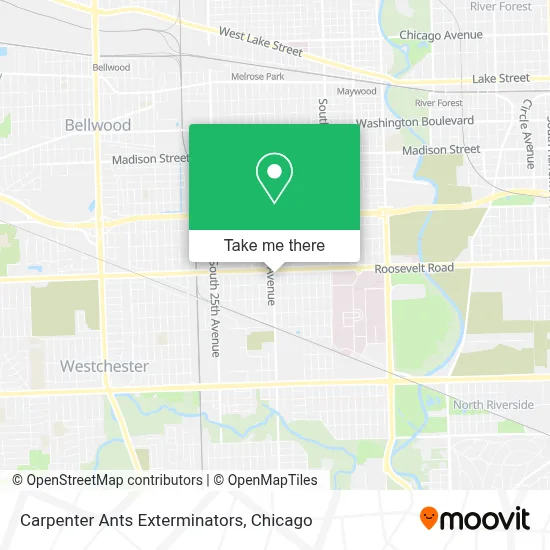 Carpenter Ants Exterminators map