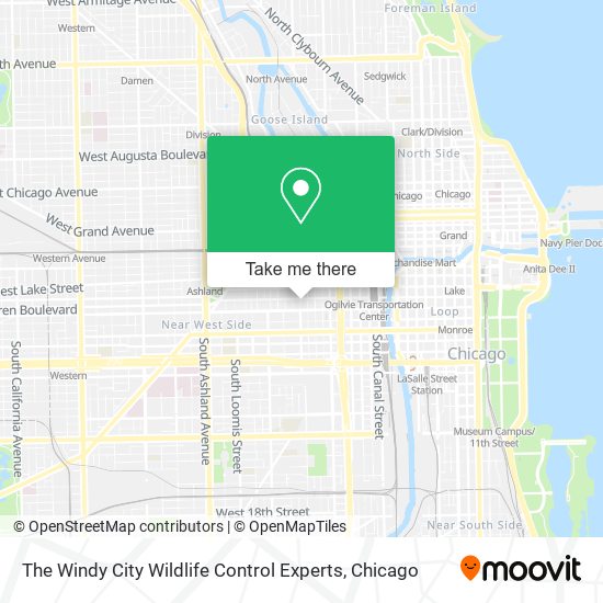 Mapa de The Windy City Wildlife Control Experts