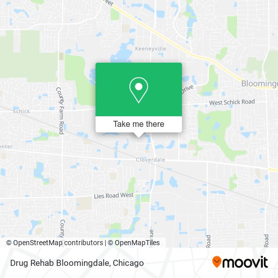 Drug Rehab Bloomingdale map