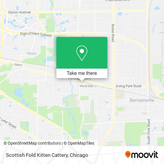 Scottish Fold Kitten Cattery map