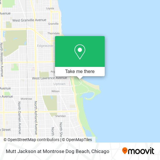 Mutt Jackson at Montrose Dog Beach map
