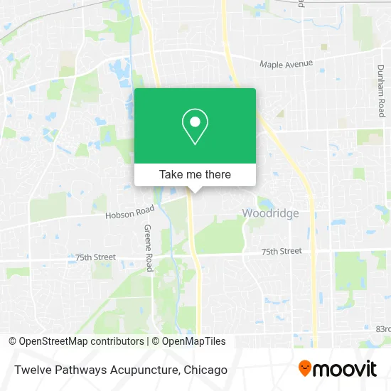 Twelve Pathways Acupuncture map