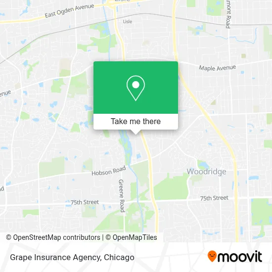 Grape Insurance Agency map