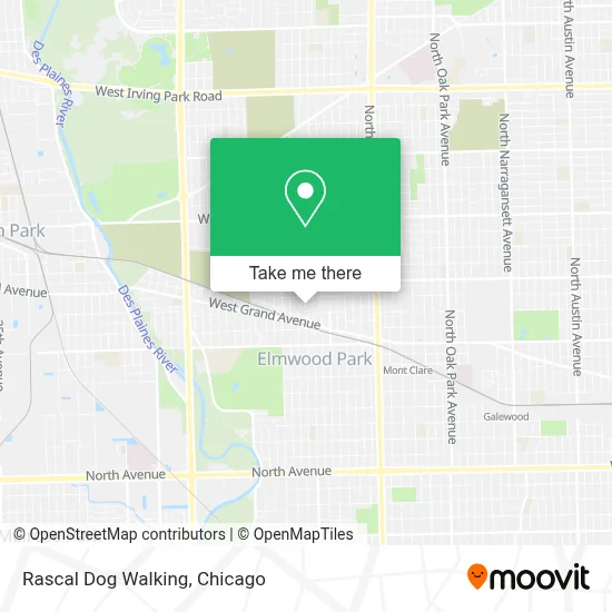 Rascal Dog Walking map