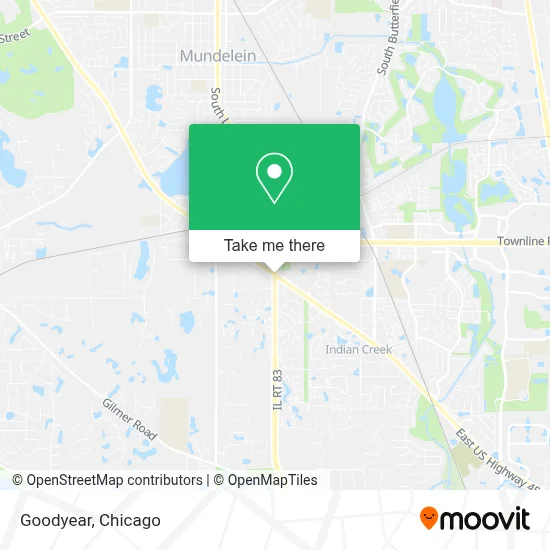 Goodyear map