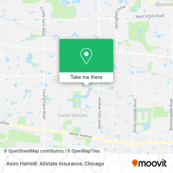Asim Hamidi: Allstate Insurance map