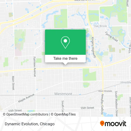 Dynamic Evolution map