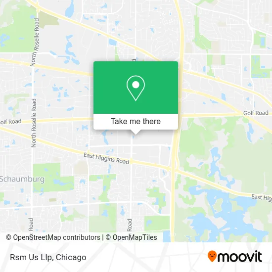 Rsm Us Llp map