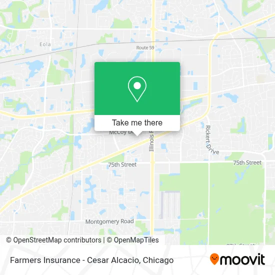 Farmers Insurance - Cesar Alcacio map