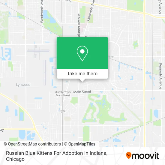 Russian Blue Kittens For Adoption In Indiana map