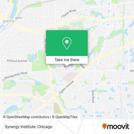 Synergy Institute map