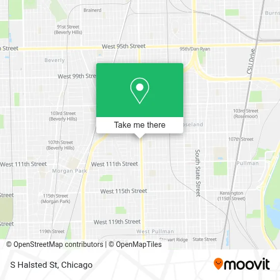 S Halsted St map