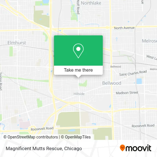 Magnificent Mutts Rescue map