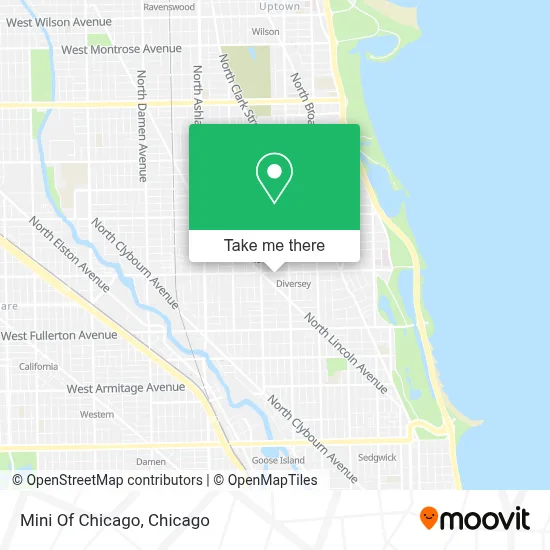Mini Of Chicago map